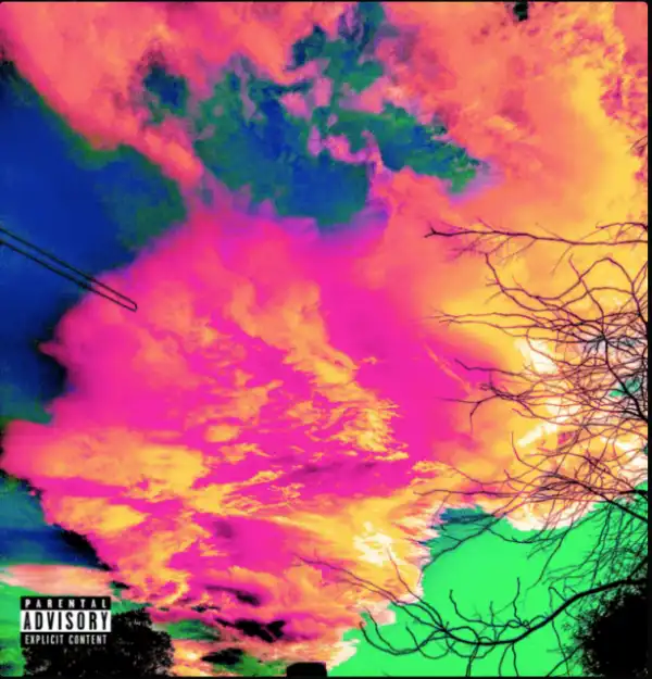 Earl Sweatshirt - 817